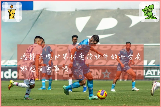 选择正规世界杯竞猜软件的平台有哪些注意事项