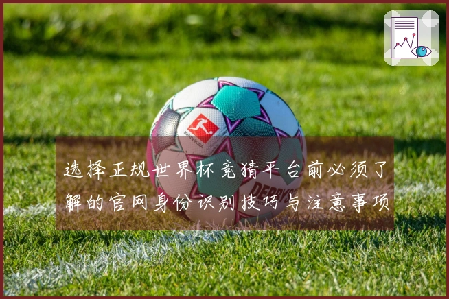 选择正规世界杯竞猜平台前必须了解的官网身份识别技巧与注意事项