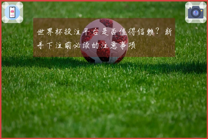 世界杯投注平台是否值得信赖？新手下注前必读的注意事项