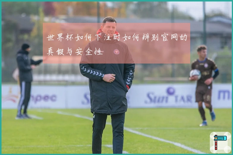 世界杯如何下注时如何辨别官网的真假与安全性