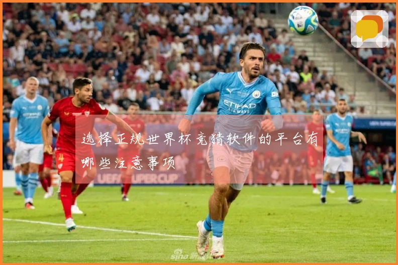 选择正规世界杯竞猜软件的平台有哪些注意事项