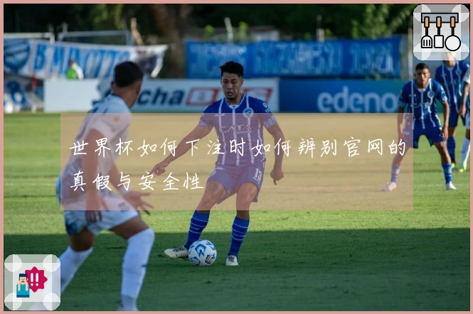 世界杯如何下注时如何辨别官网的真假与安全性